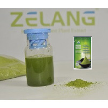 Manufacturer Supplier Get Matcha Green Tea Powder Matcha Instant